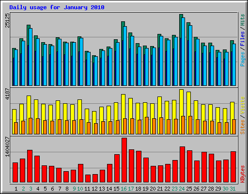 Daily usage for January 2010