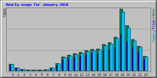 Hourly usage for January 2010